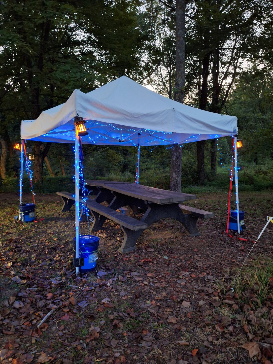 Creating an outddor classroom to teach Sustainability