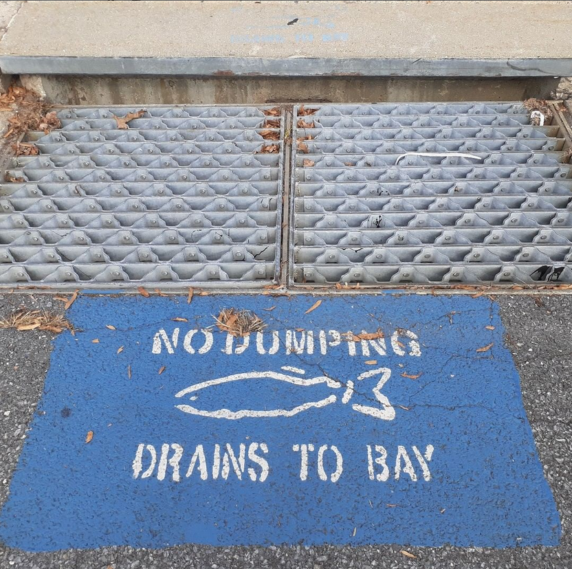 The purpose of storm drains.