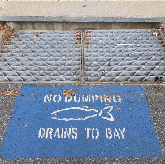 The purpose of storm drains.