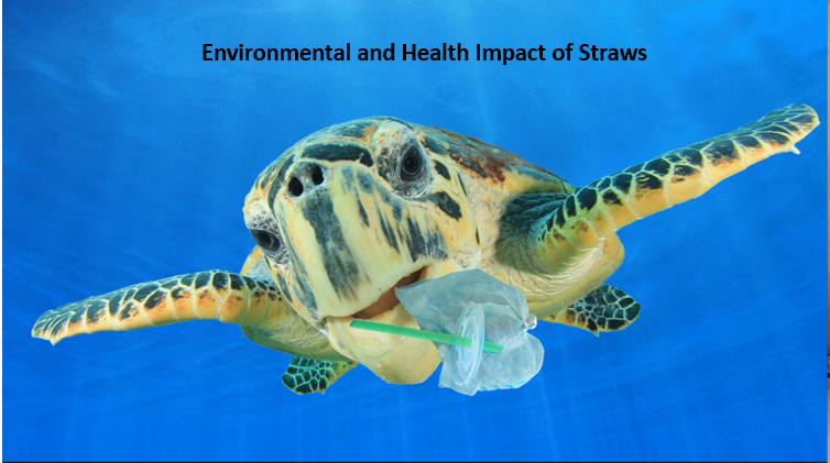 What is the safest Straw for you and the environment?