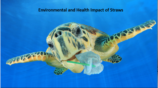 What is the safest Straw for you and the environment?
